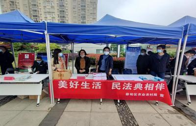 蔡甸區農業農村局開展“民法典進農村”宣傳活動市場調研分析報告